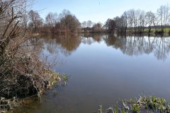 Braunersgruener-Weiher-1