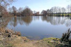 Braunersgruener-Weiher-3