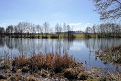 Braunersgruener-Weiher-4