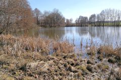 Braunersgruener-Weiher-5