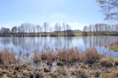 Braunersgruener-Weiher-6