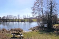 Braunersgruener-Weiher-7