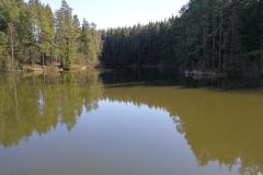 Zipfelteich-1