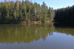 Zipfelteich-2