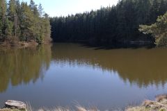 Zipfelteich-5