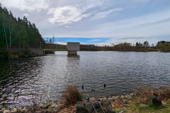 C-PXL_20240329_085343807