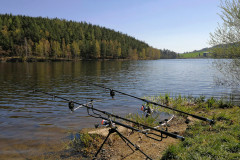 Stau-14