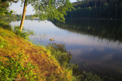 Stau-25