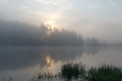 Stau-33