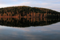 Stau-6