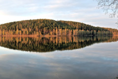 Stau-9
