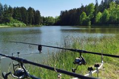 Witzlebensteich-1