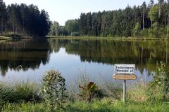 Witzlebensteich-10