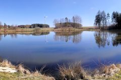 Witzlebensteich-5