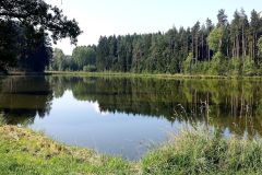 Witzlebensteich-9